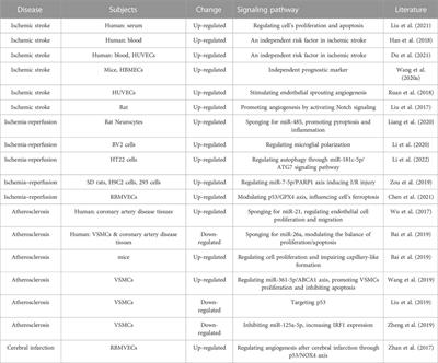 The multifaceted biology of lncR-Meg3 in cardio-cerebrovascular diseases
